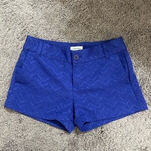 Cute Blue Calvin Klein Women’s Shorts